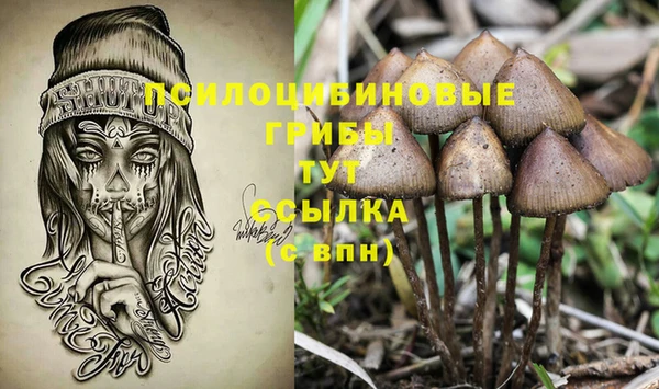 МДПВ Нязепетровск