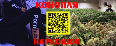 гашик Ирбит