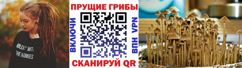 цены   Отрадный  Галлюциногенные грибы мицелий 