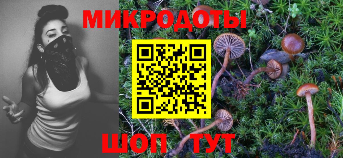 Галлюциногенные грибы Cubensis  Вход с VPN  Псилоцибиновые грибы GOLDEN TEACHER  Отрадный 